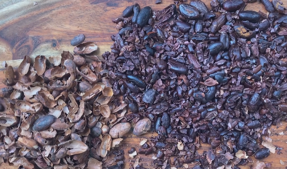 roasted chocolate seeds